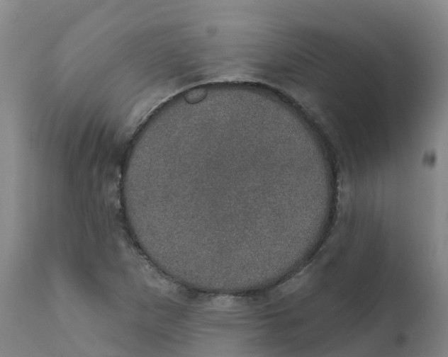 X0000111801265200908131428