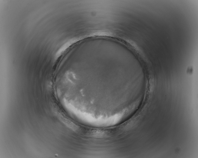 X0000111801266200908131428