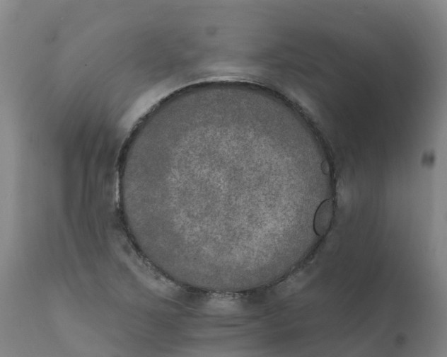 X0000111801267200908131428