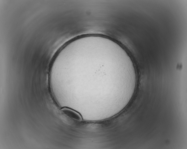 X0000111801268200908131428