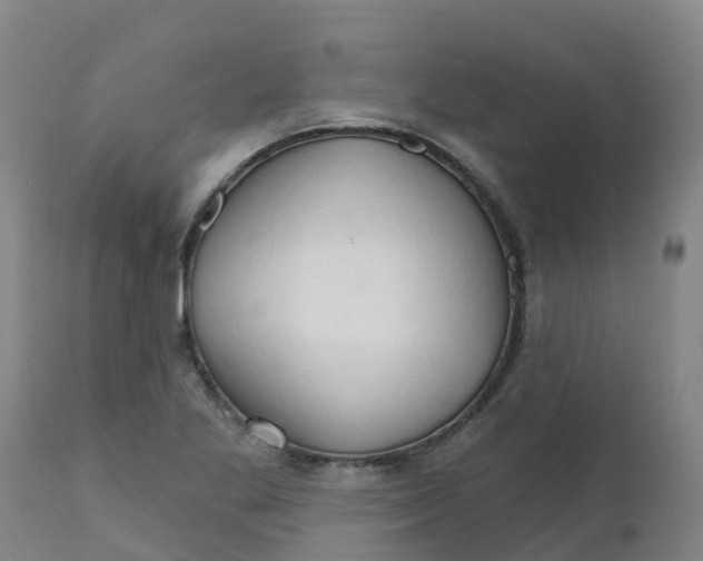 X0000111801269200908131428