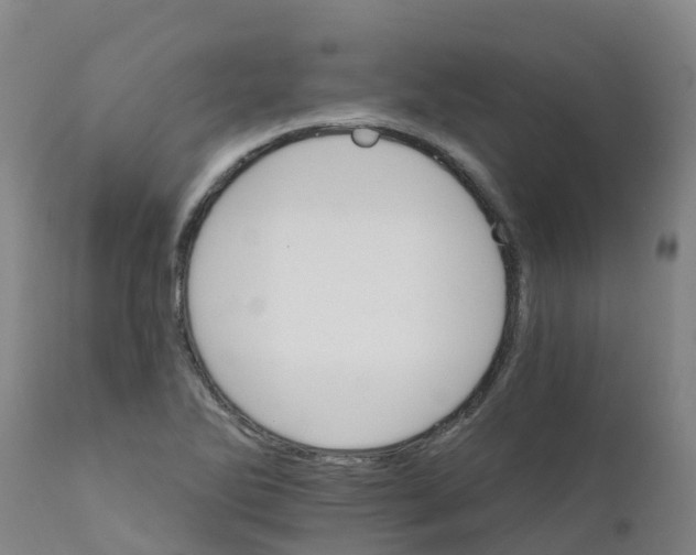 X0000111801270200908131428