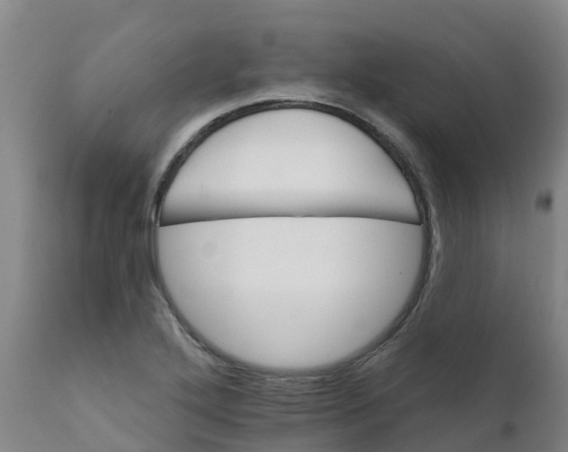 X0000111801272200908131428