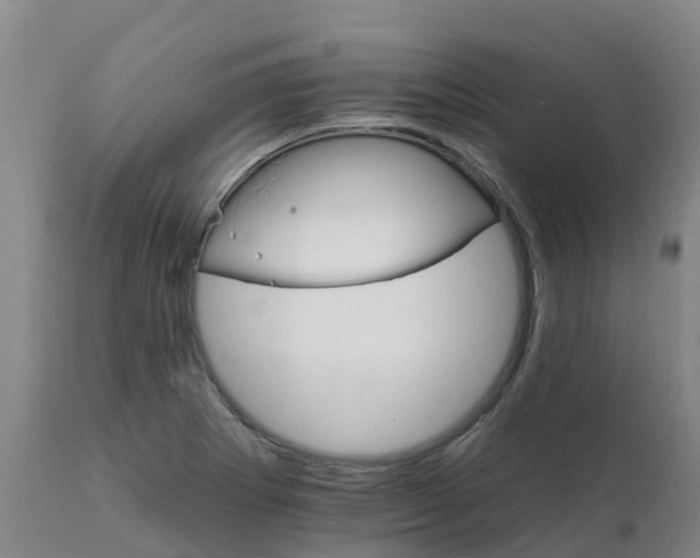 X0000111801273200908131428