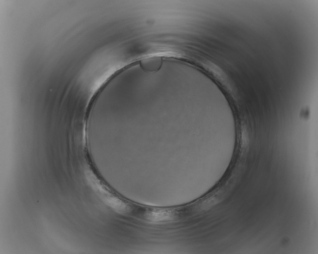 X0000111801274200908131428