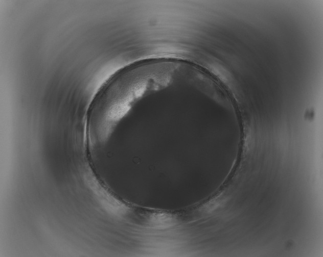 X0000111801275200908131428