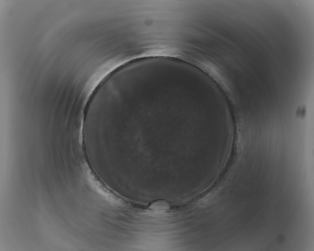 X0000111801276200908131428
