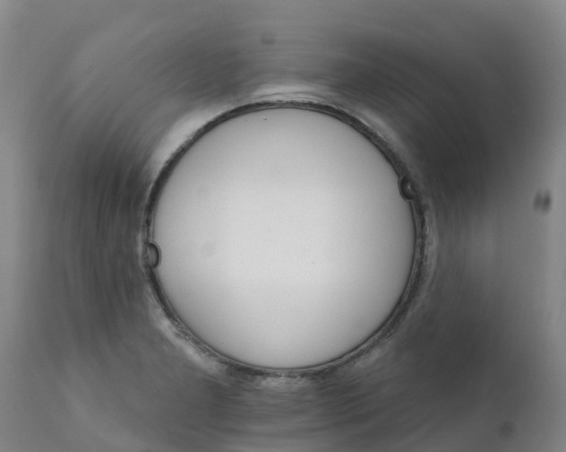 X0000111801277200908131428