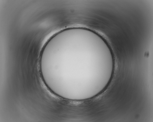X0000111801278200908131428