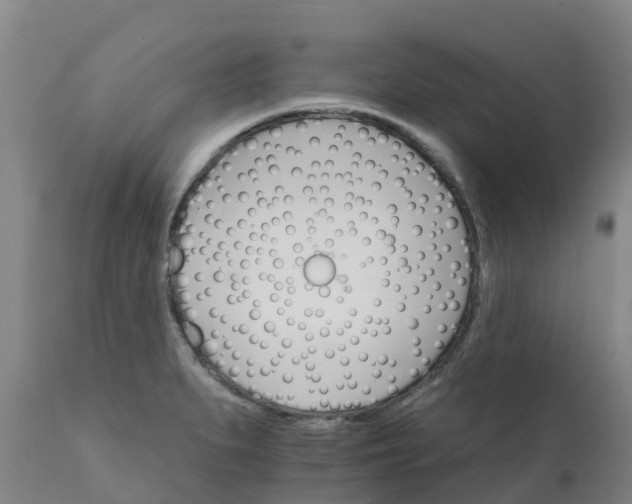 X0000111801279200908131428