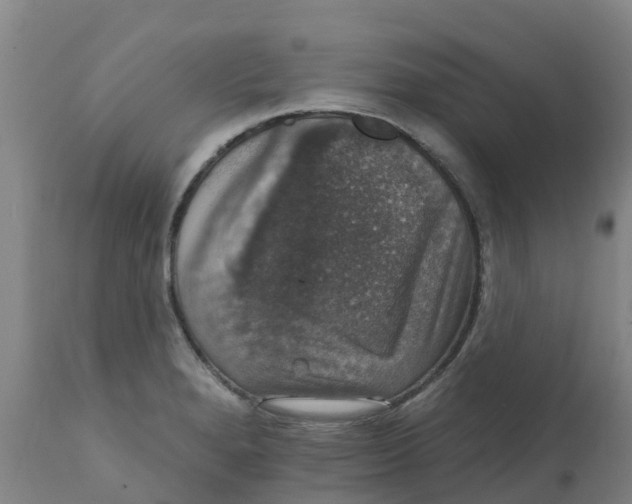 X0000111801280200908131428