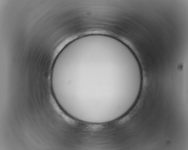 X0000111801282200908131428