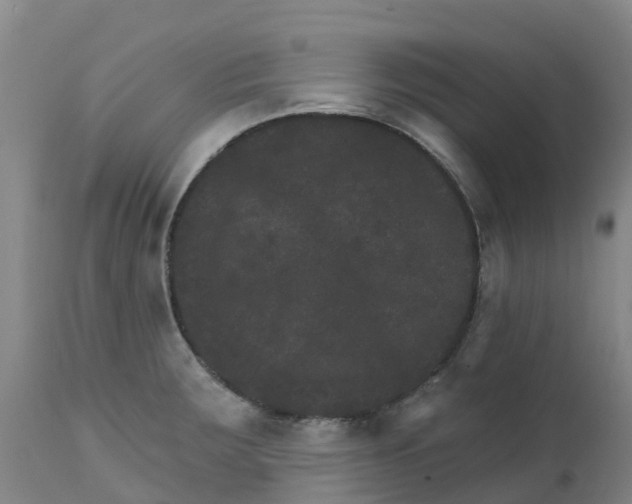 X0000111801283200908131428