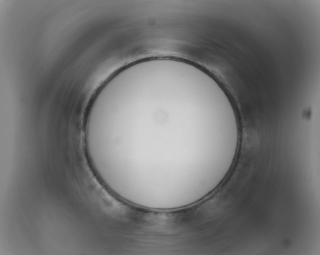 X0000111801286200908131427