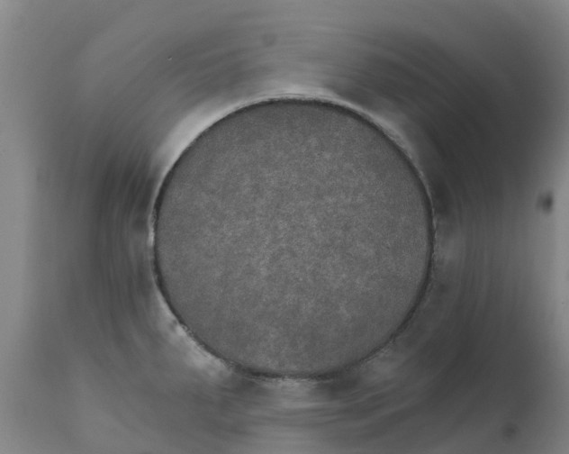 X0000111801287200908131427