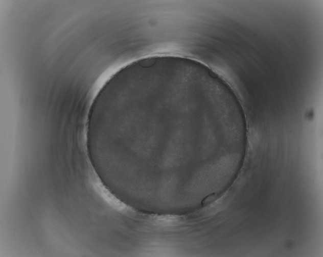 X0000111801288200908131427