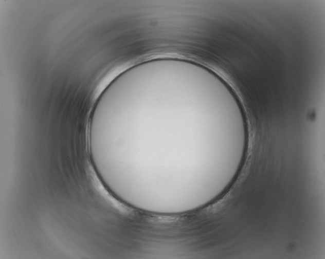 X0000111801290200908131427