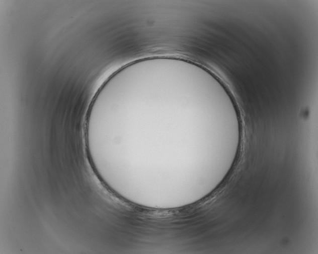 X0000111801291200908131427