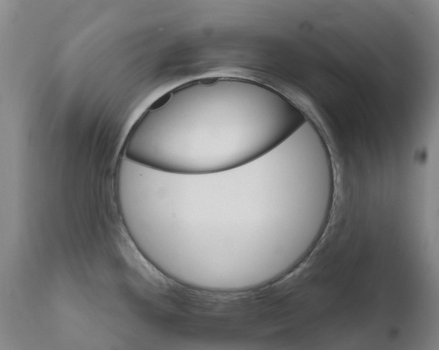 X0000111801292200908131427