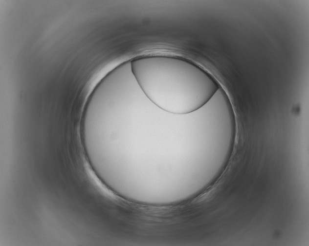 X0000111801293200908131427