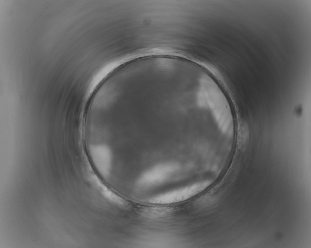 X0000111801294200908131427