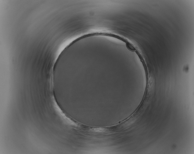 X0000111801295200908131427