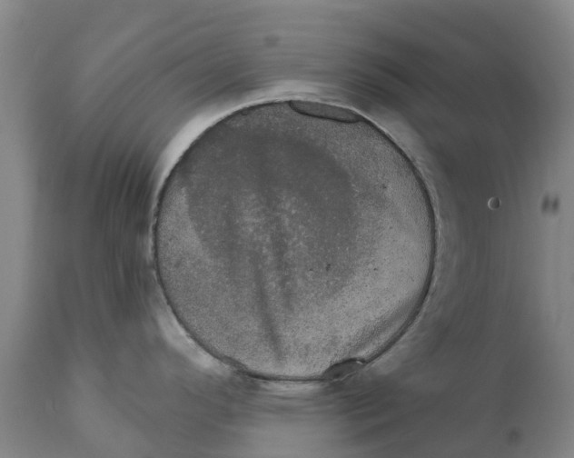 X0000111801296200908131427