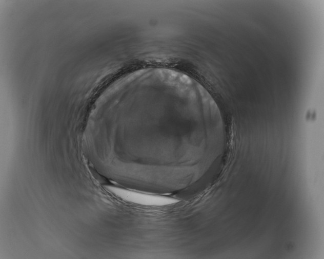 X0000111801297200908131427