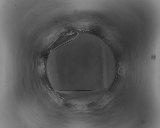 X0000111801298200908131427