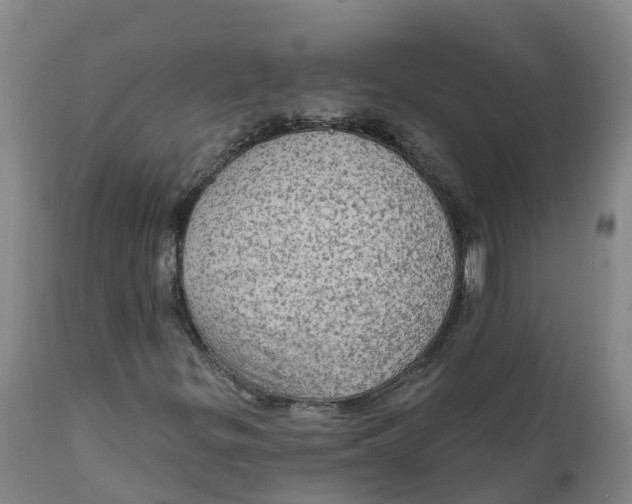 X0000111801299200908131427