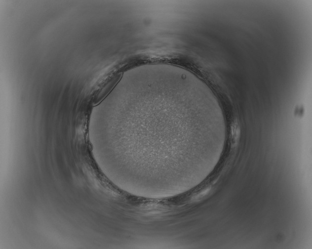 X0000111801300200908131427
