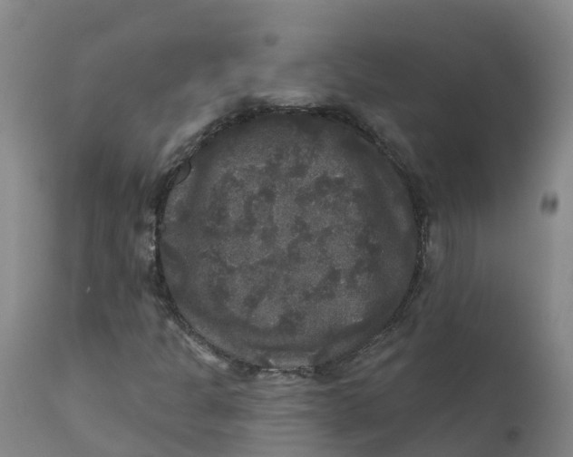 X0000111801301200908131427