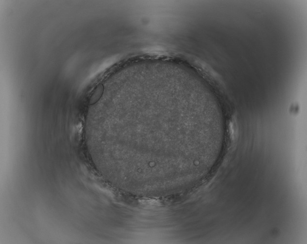 X0000111801302200908131427