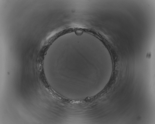 X0000111801303200908131427