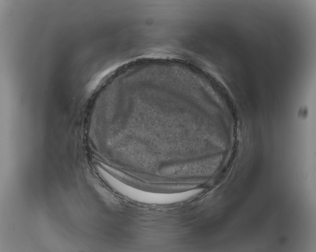 X0000111801304200908131427