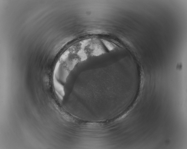 X0000111801305200908131427