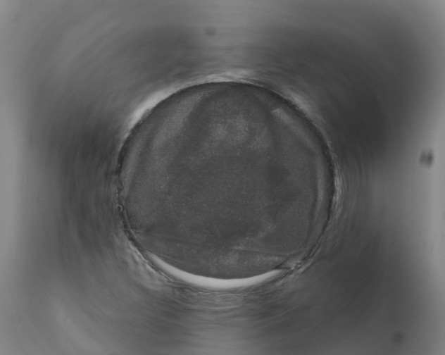 X0000111801308200908131427