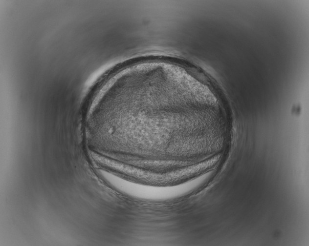 X0000111801310200908131427