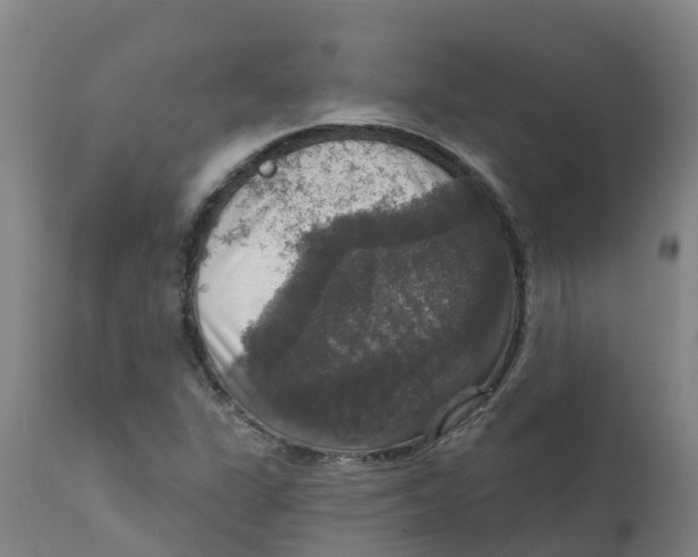 X0000111801311200908131427