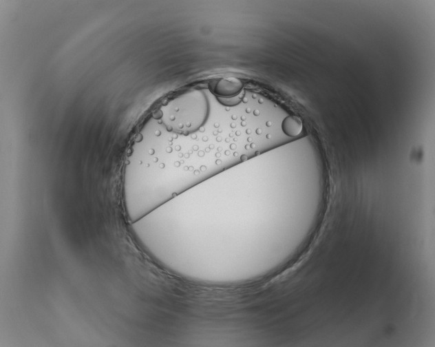 X0000111801313200908131427