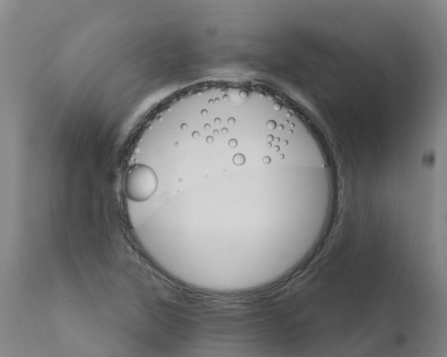 X0000111801315200908131427