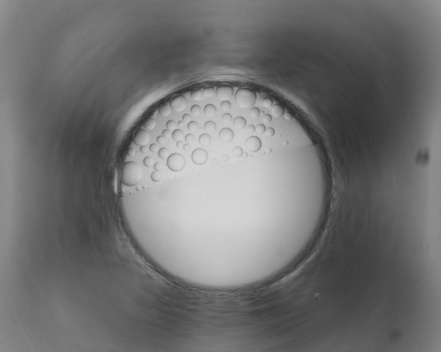 X0000111801317200908131427