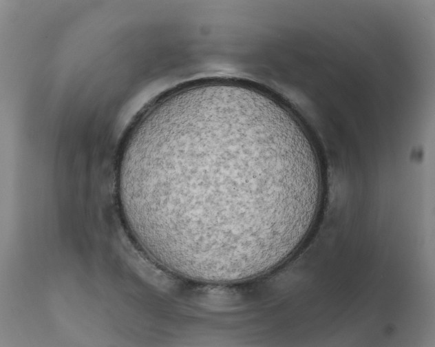 X0000111801318200908131427