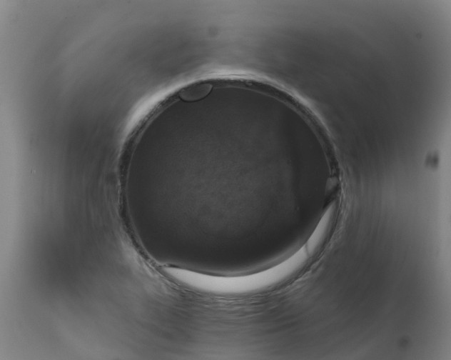 X0000111801319200908131427