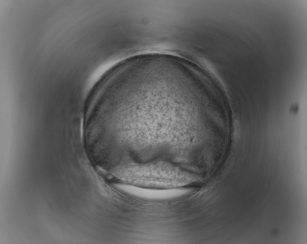 X0000111801320200908131427