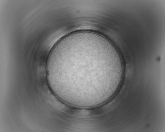 X0000111801321200908131427