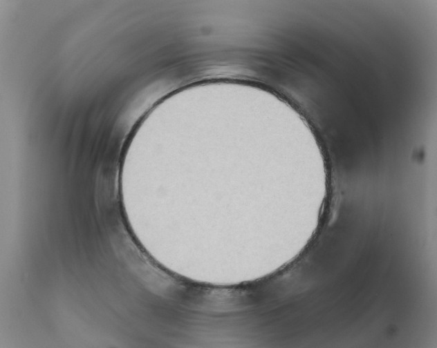X0000111801322200908131427