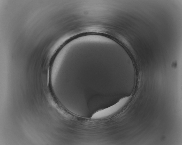 X0000111801323200908131427