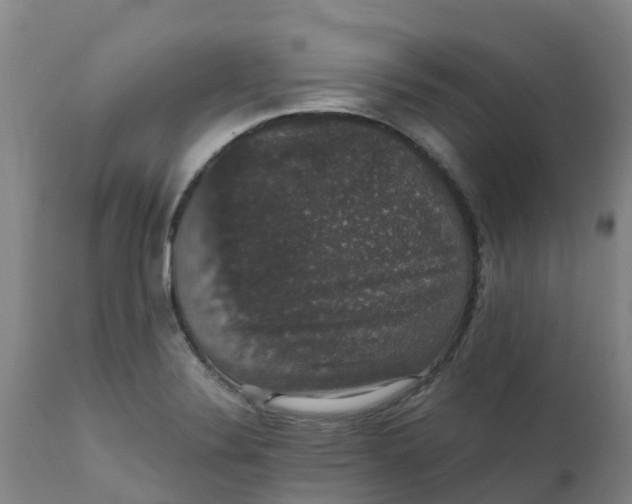 X0000111801324200908131427