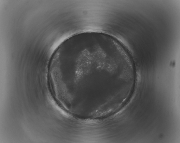 X0000111801325200908131427